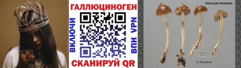 Купить закладки  Алапаевск  Галлюциногенные грибы Psilocybine cubensis 
