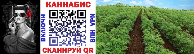 Канабис индика Купить закладки Алапаевск